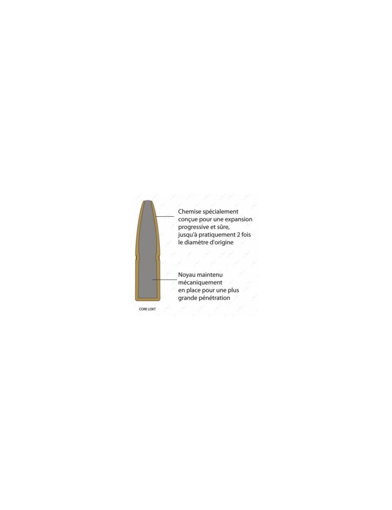 MUNITION REMINGTON 35 WHELEN CORE LOKT 200GRS Bte 20