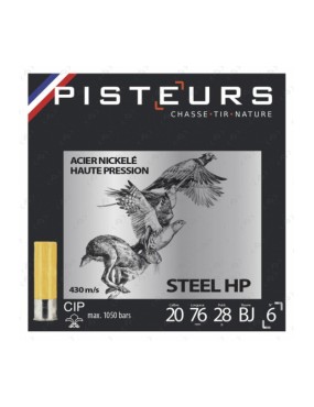 CARTOUCHE PISTEURS ACIER...